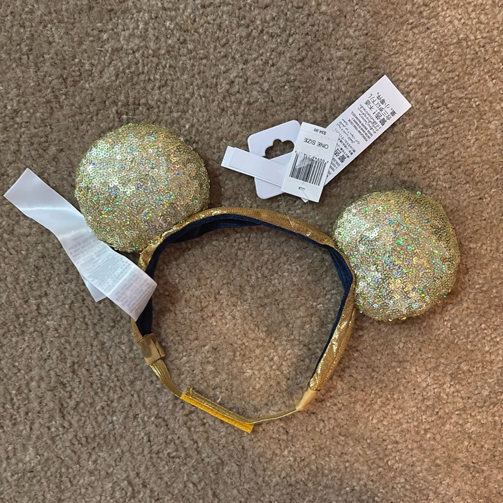 Disney World 50th anniversary stretchy years